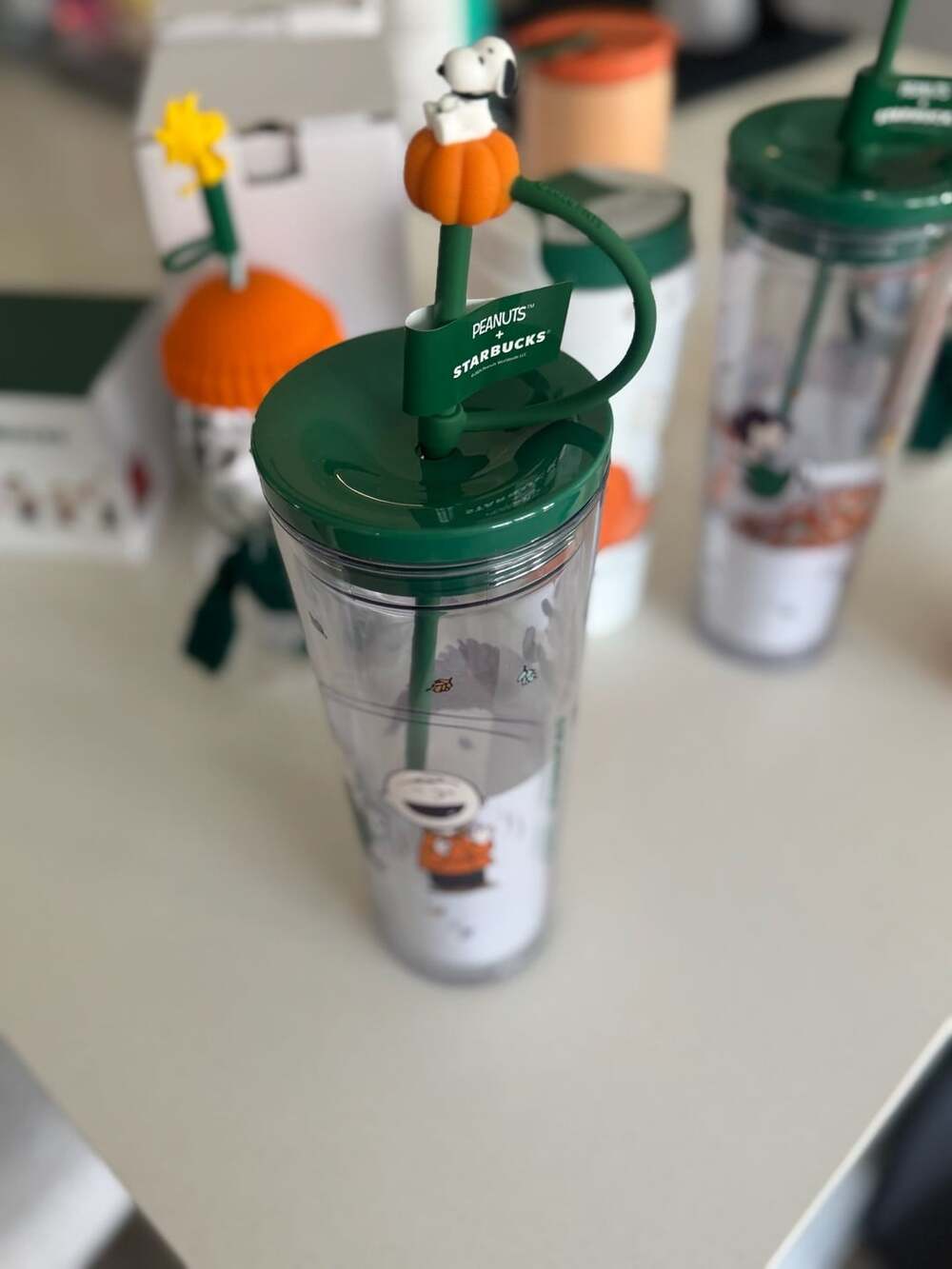 Peanuts Starbucks Autumn Fun Plastic Cold Cup Size 24oz